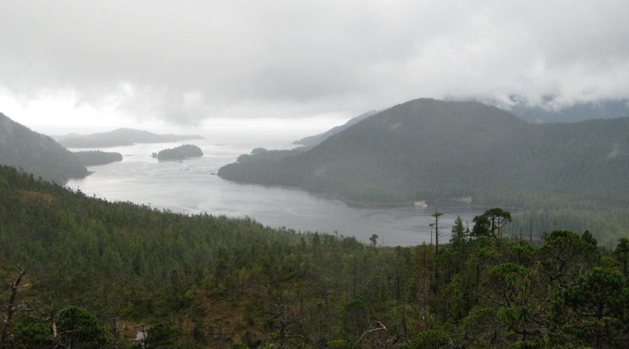 Rain and Rare Earths at Bokan Mountain